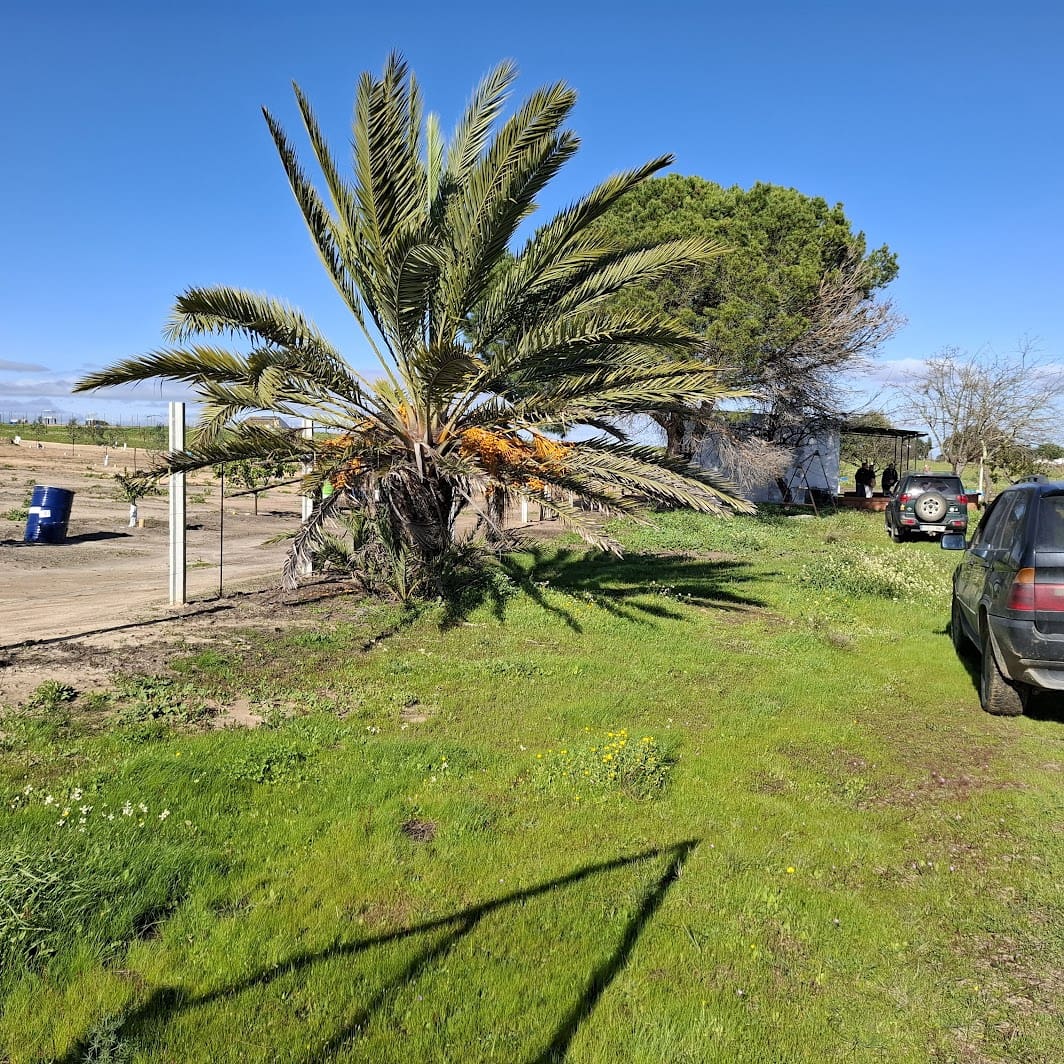 Finca/Herregård til salgs i Almonte med garasje - € 48 000 (Ref: 9729253)