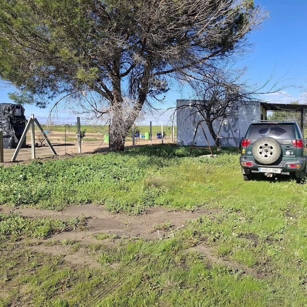 Finca/Herregård til salgs i Almonte med garasje - € 48 000 (Ref: 9729253)