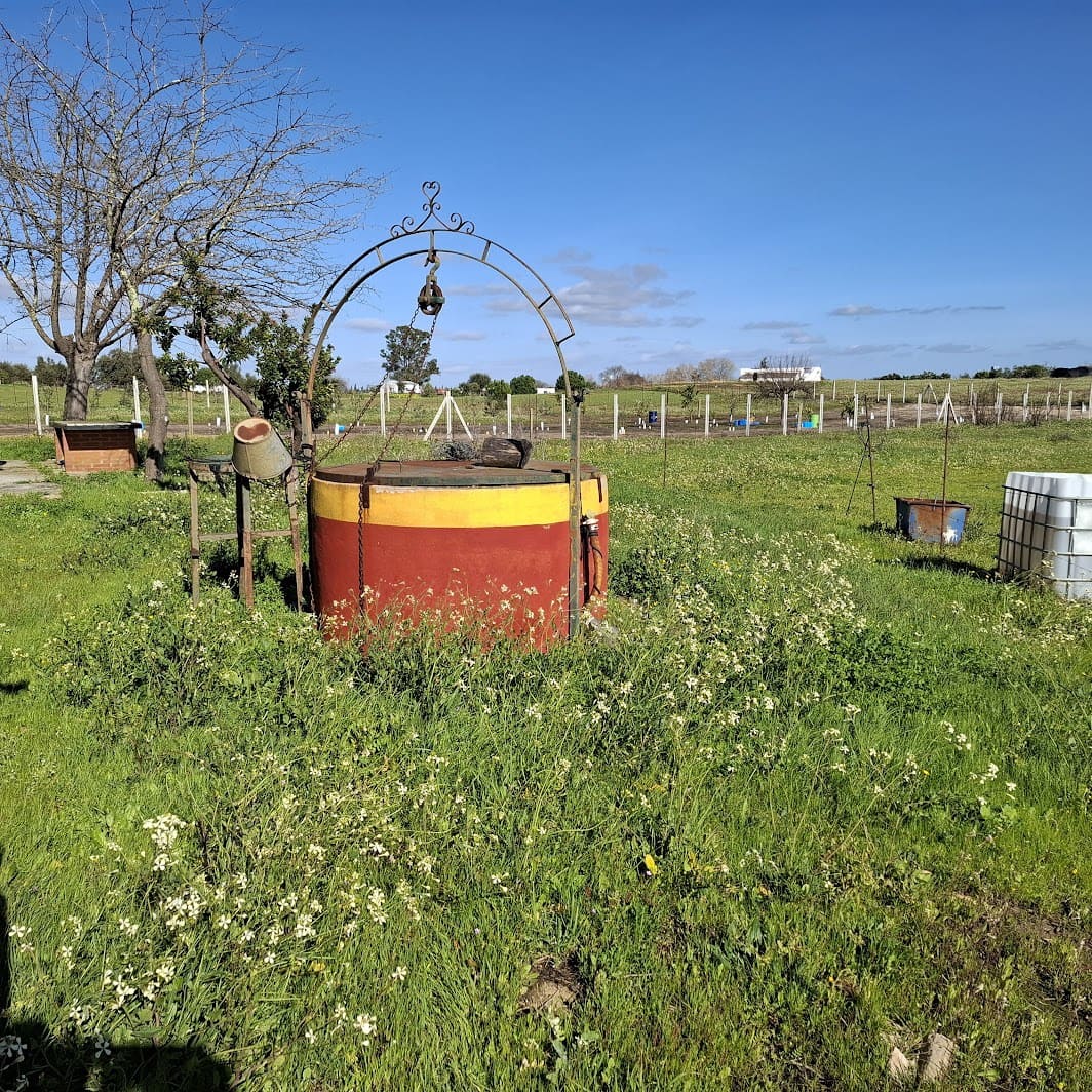 Finca/Herregård til salgs i Almonte med garasje - € 48 000 (Ref: 9729253)