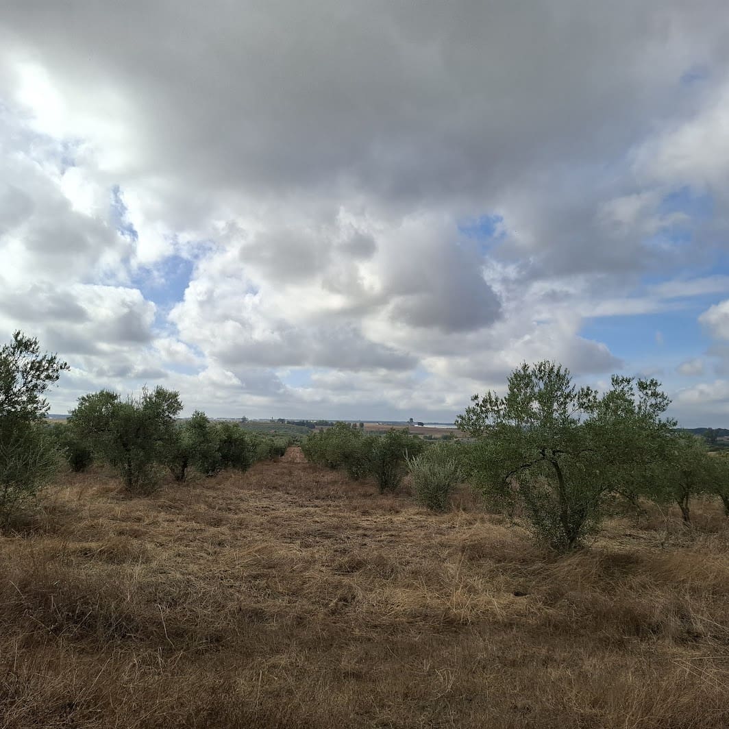 Finca/Country House for sale in Almonte with garage - € 41,000 (Ref: 9729308)