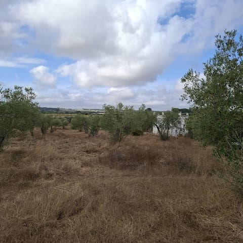 Finca/Herregård til salgs i Almonte med garasje - € 41 000 (Ref: 9729308)