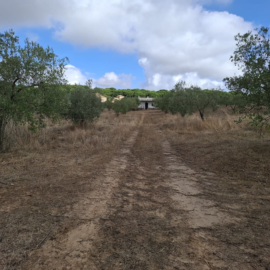 Finca/Country House for sale in Almonte with garage - € 41,000 (Ref: 9729308)