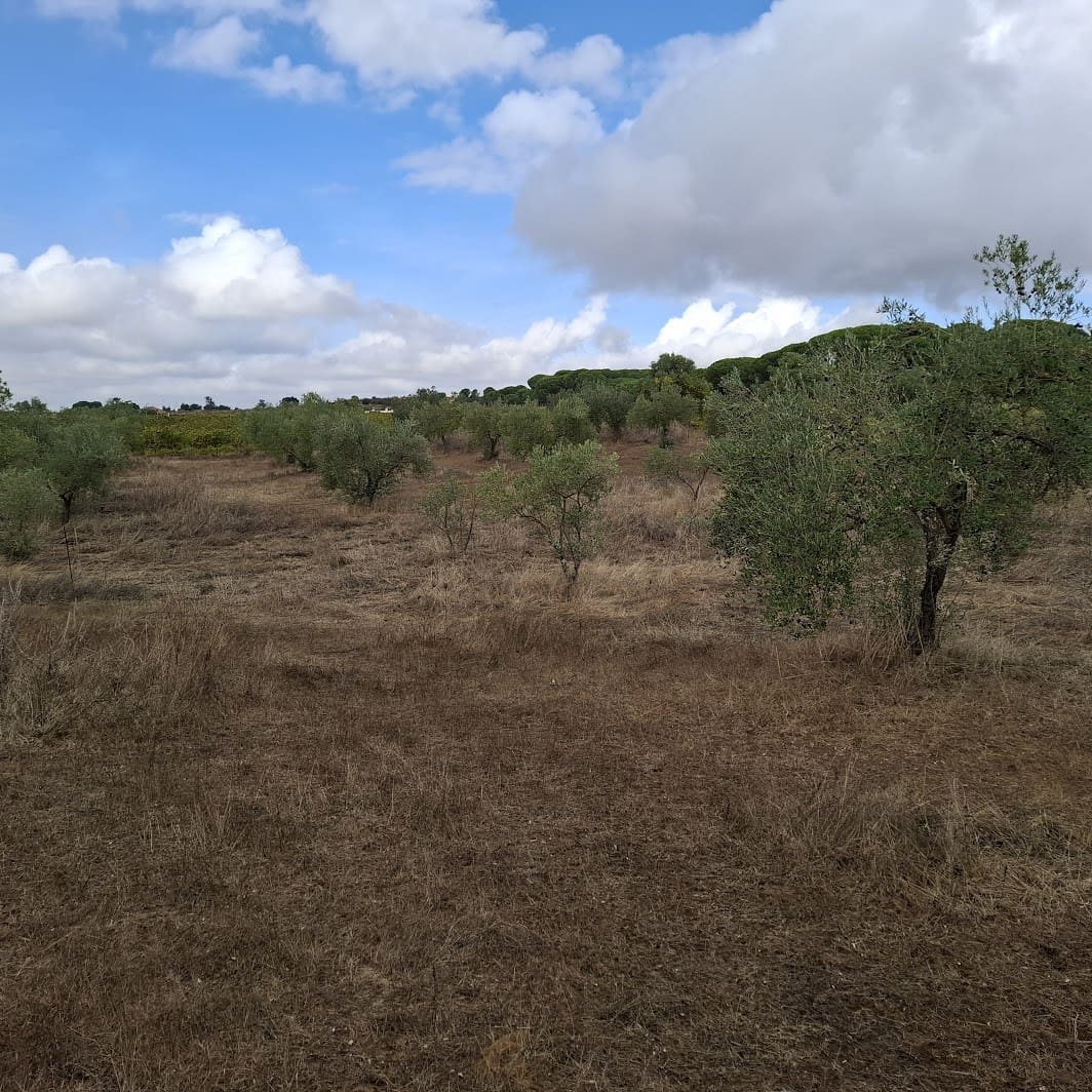 Finca/Country House for sale in Almonte with garage - € 41,000 (Ref: 9729308)