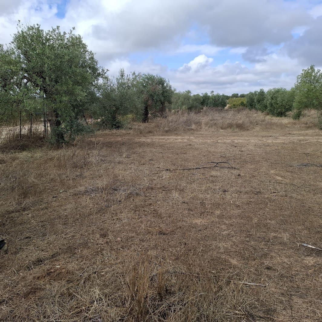 Finca/Country House for sale in Almonte with garage - € 41,000 (Ref: 9729308)