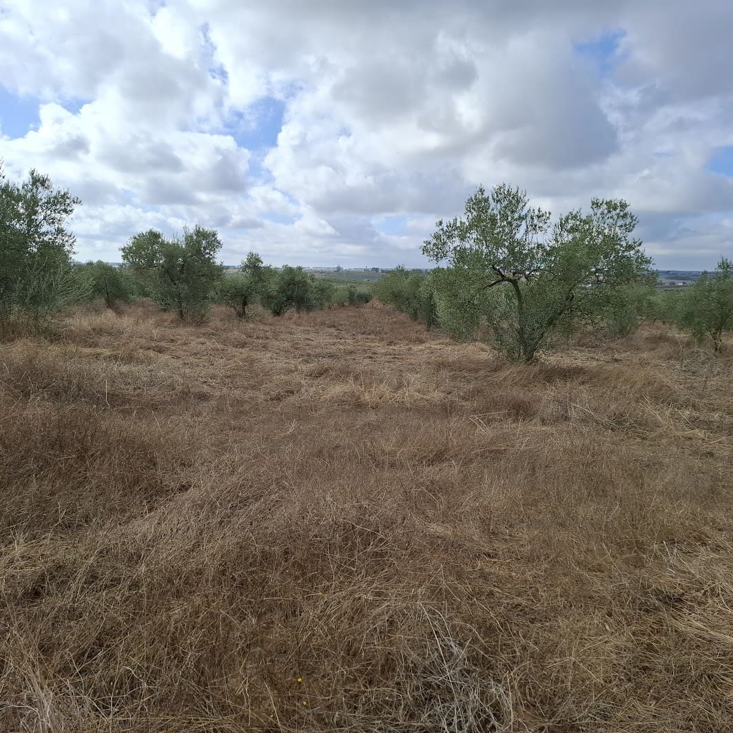 Finca/Country House for sale in Almonte with garage - € 41,000 (Ref: 9729308)