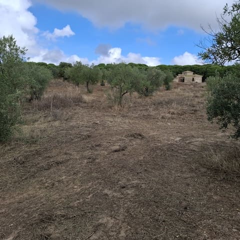 Finca/Herregård til salgs i Almonte med garasje - € 41 000 (Ref: 9729308)