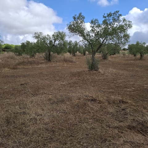 Finca/Herregård til salgs i Almonte med garasje - € 41 000 (Ref: 9729308)