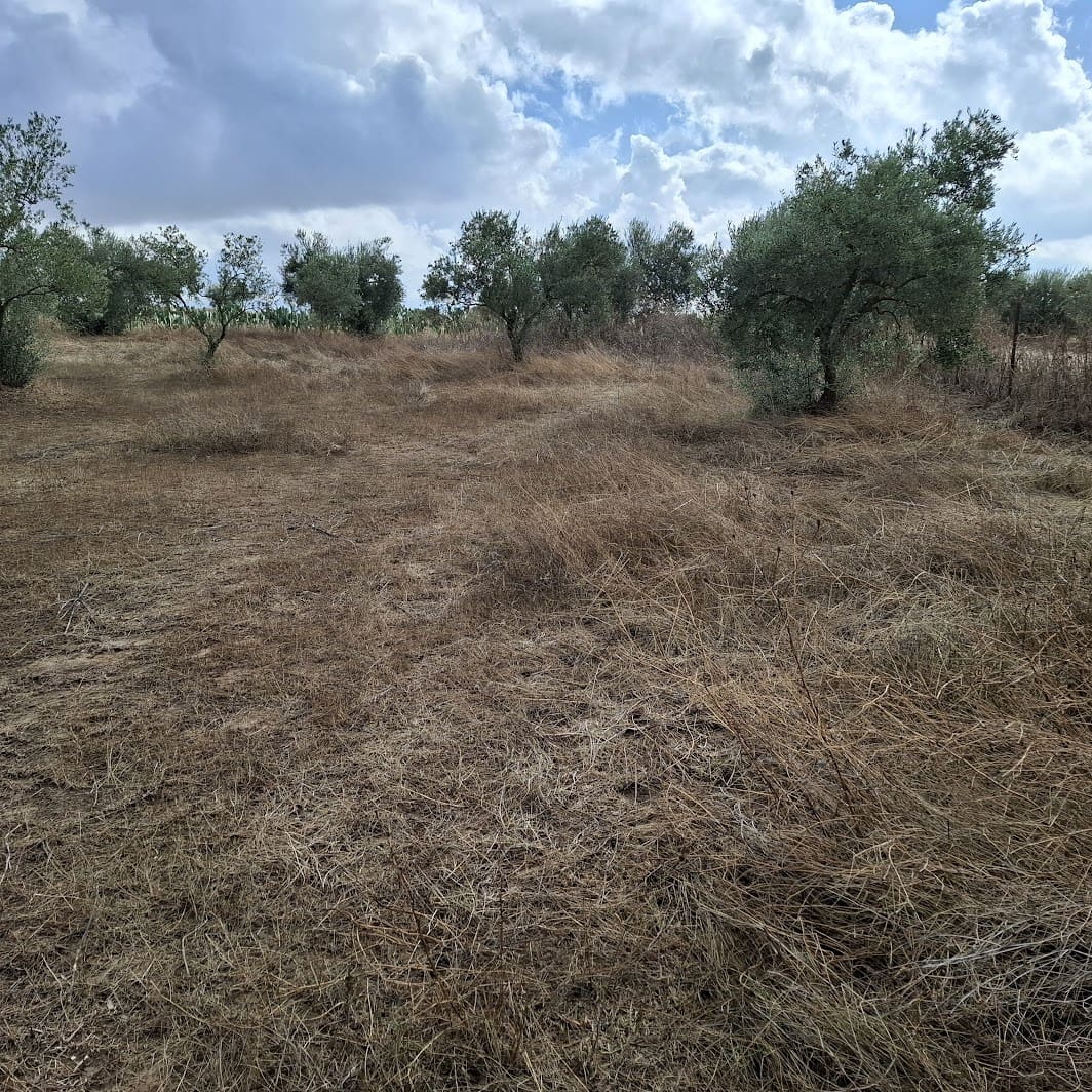 Finca/Country House for sale in Almonte with garage - € 41,000 (Ref: 9729308)