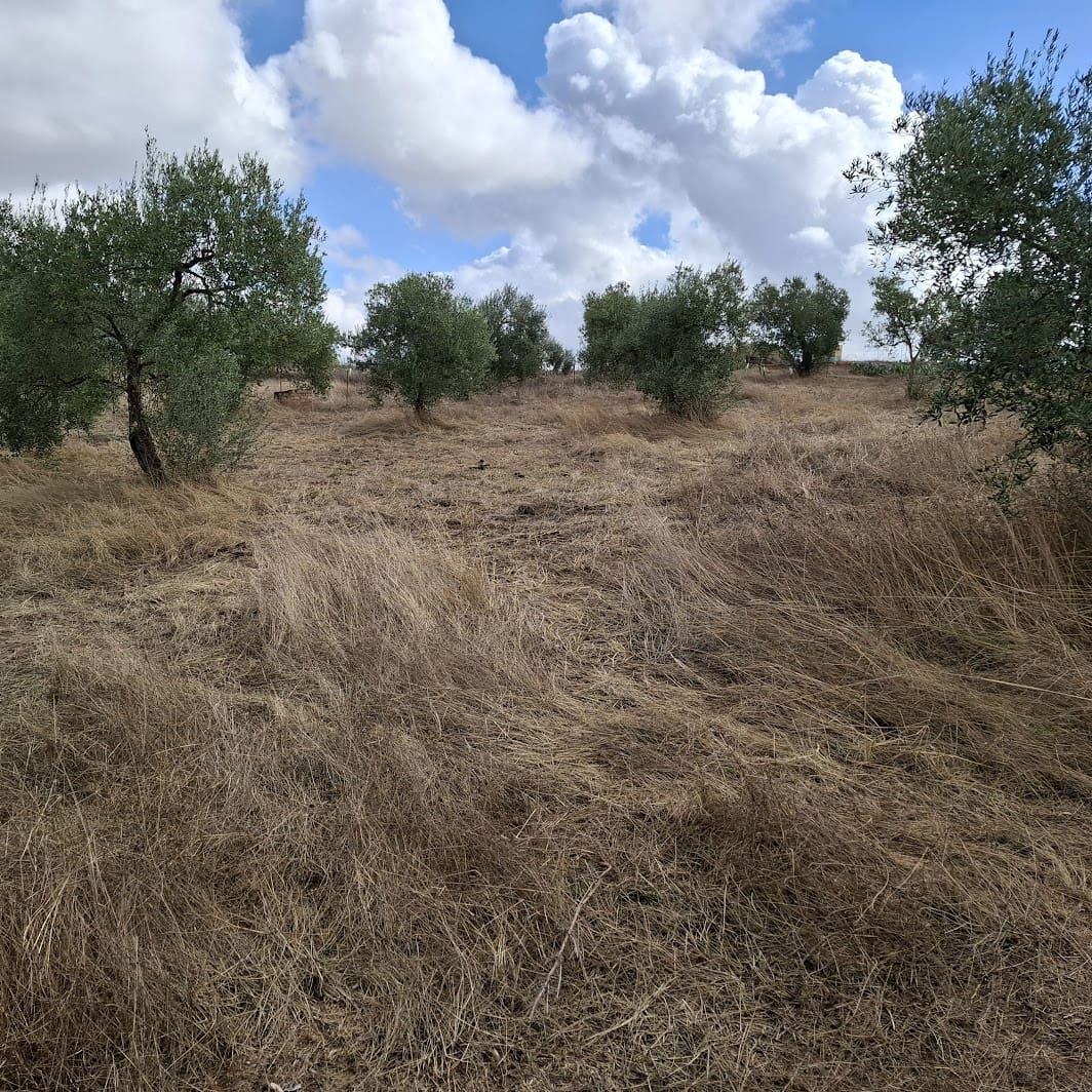 Finca/Country House for sale in Almonte with garage - € 41,000 (Ref: 9729308)