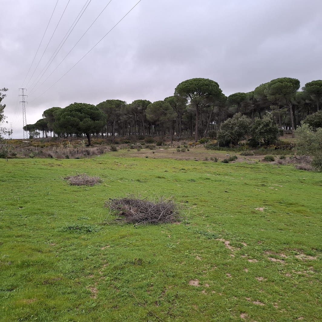 2 quarto Quinta/Casa Rural para venda em Almonte com garagem - 65 000 € (Ref: 9763520)