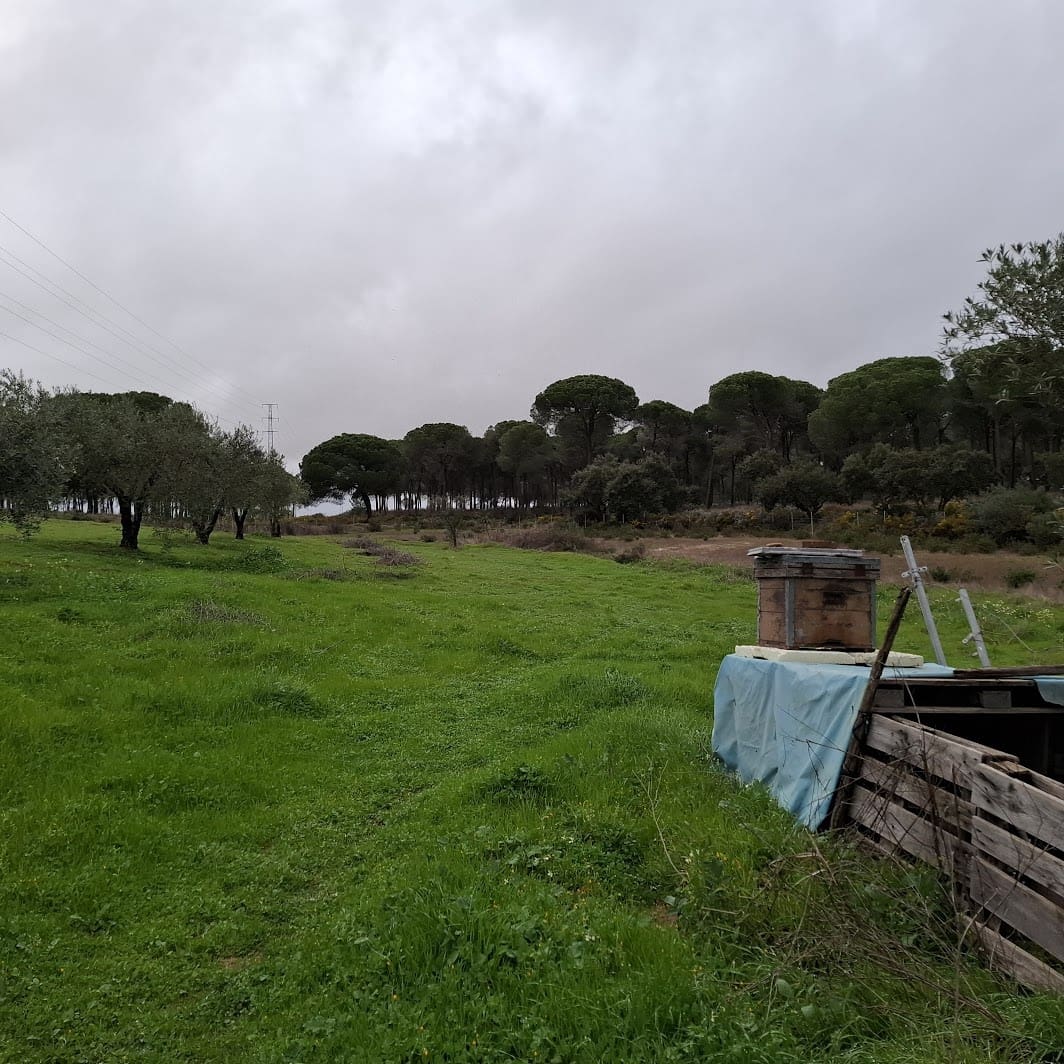 2 quarto Quinta/Casa Rural para venda em Almonte com garagem - 65 000 € (Ref: 9763520)