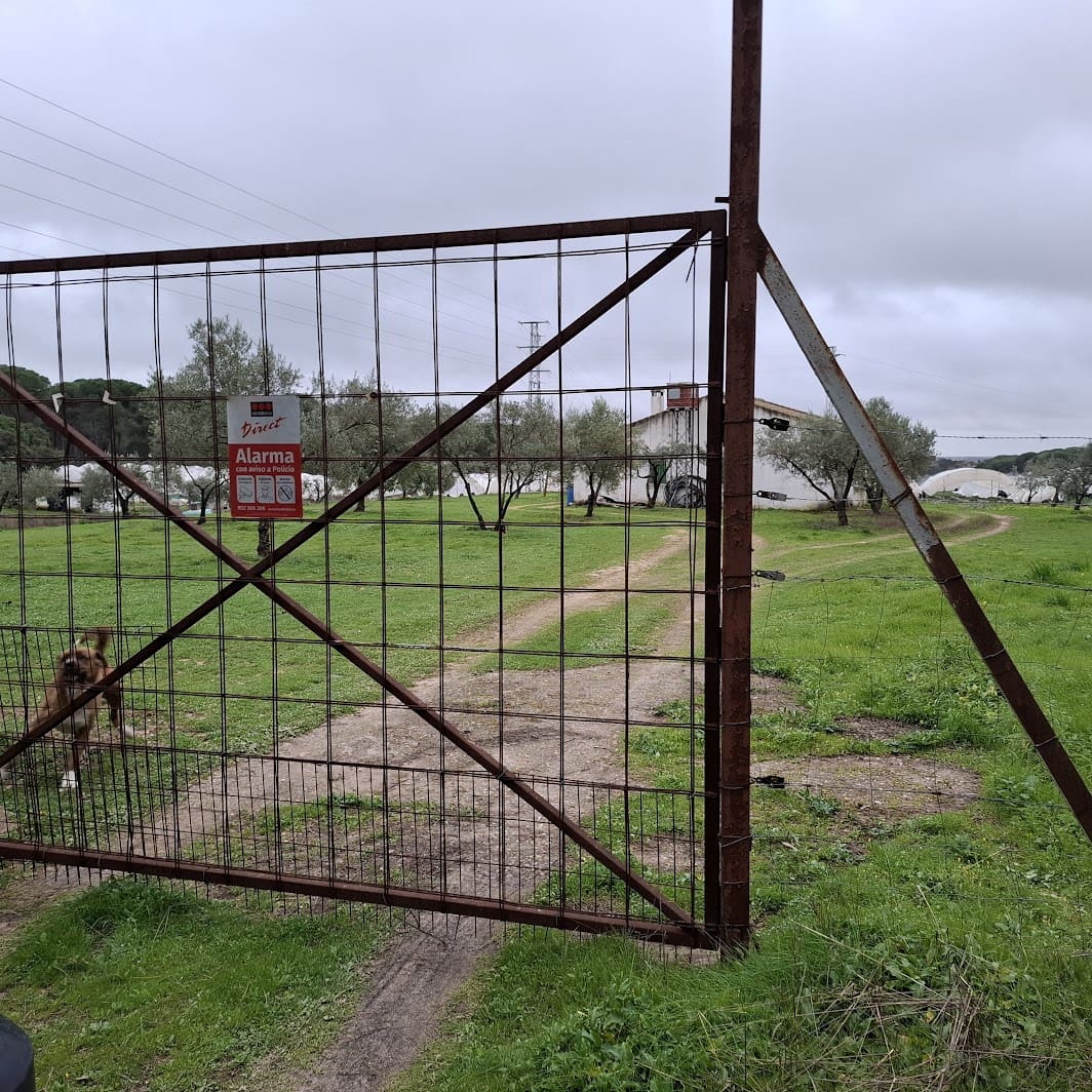 2 quarto Quinta/Casa Rural para venda em Almonte com garagem - 65 000 € (Ref: 9763520)