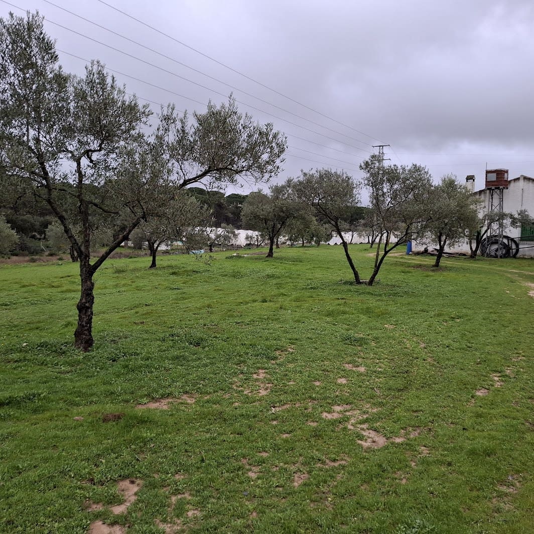 2 quarto Quinta/Casa Rural para venda em Almonte com garagem - 65 000 € (Ref: 9763520)
