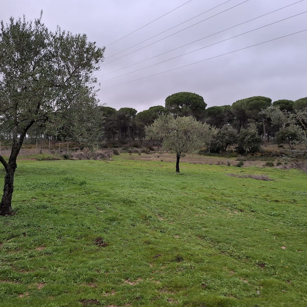 2 quarto Quinta/Casa Rural para venda em Almonte com garagem - 65 000 € (Ref: 9763520)