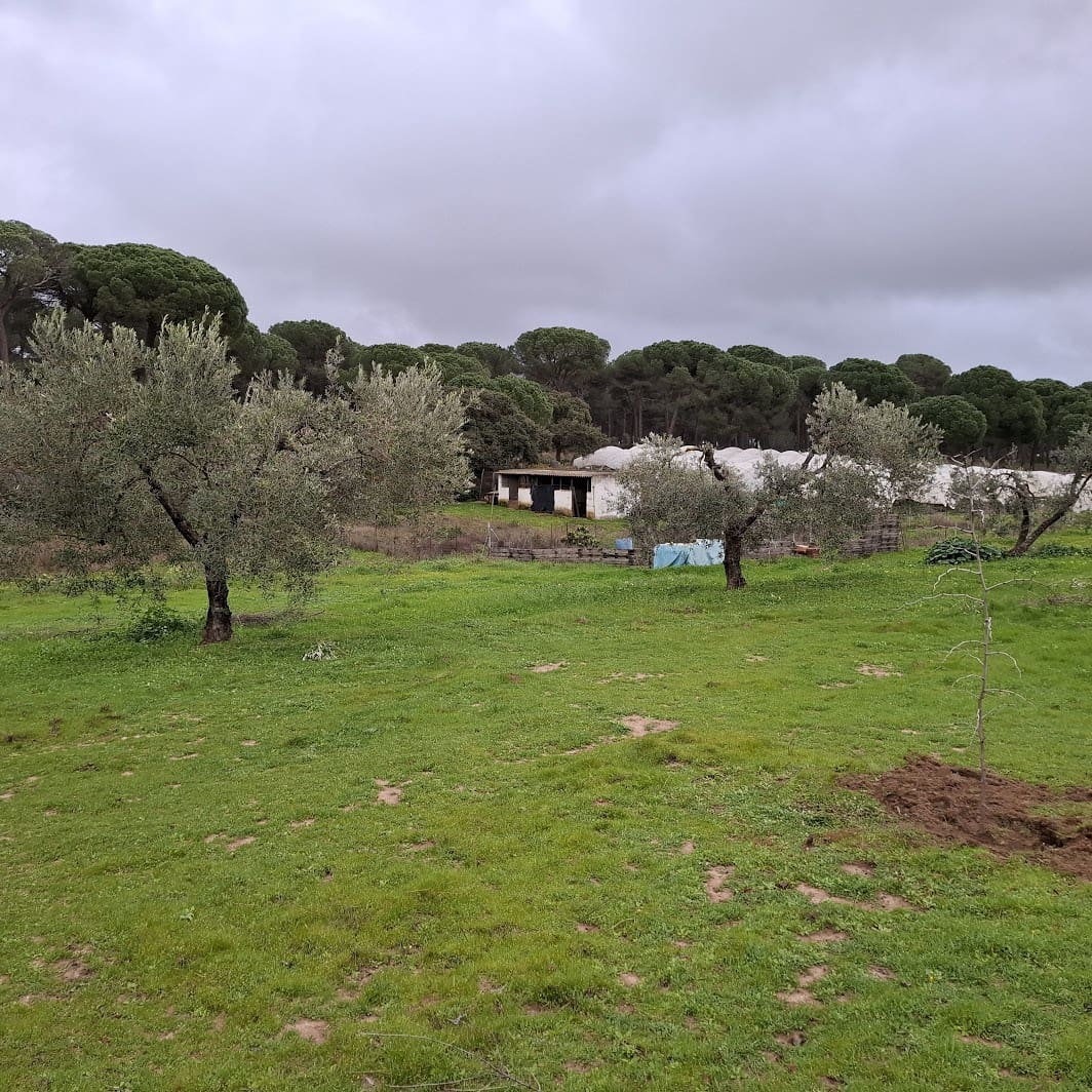 2 quarto Quinta/Casa Rural para venda em Almonte com garagem - 65 000 € (Ref: 9763520)