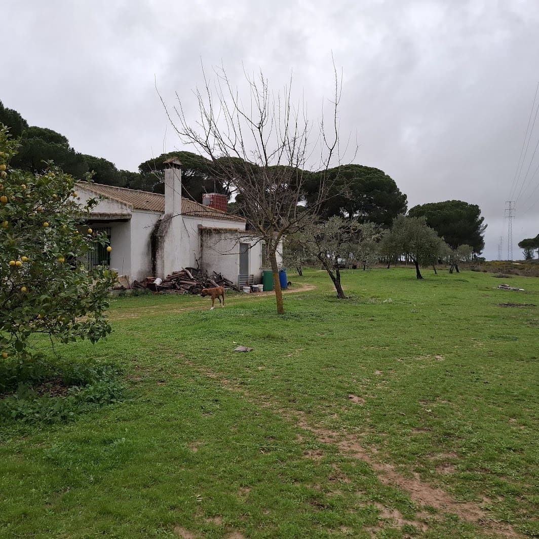 2 quarto Quinta/Casa Rural para venda em Almonte com garagem - 65 000 € (Ref: 9763520)