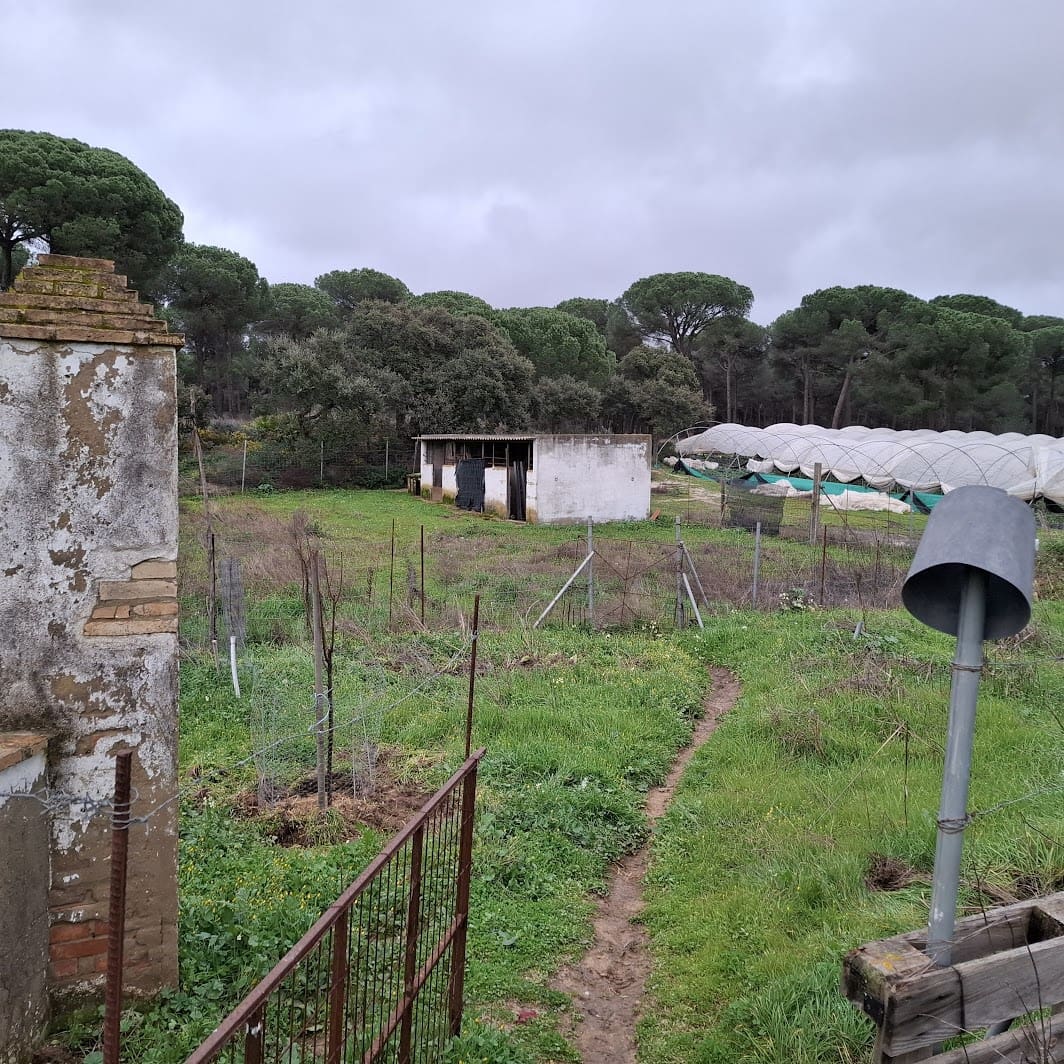 2 quarto Quinta/Casa Rural para venda em Almonte com garagem - 65 000 € (Ref: 9763520)