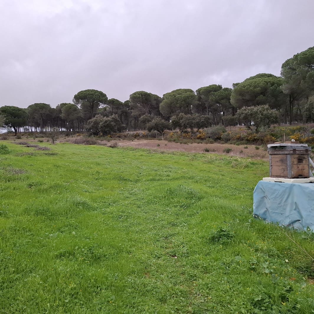 2 quarto Quinta/Casa Rural para venda em Almonte com garagem - 65 000 € (Ref: 9763520)