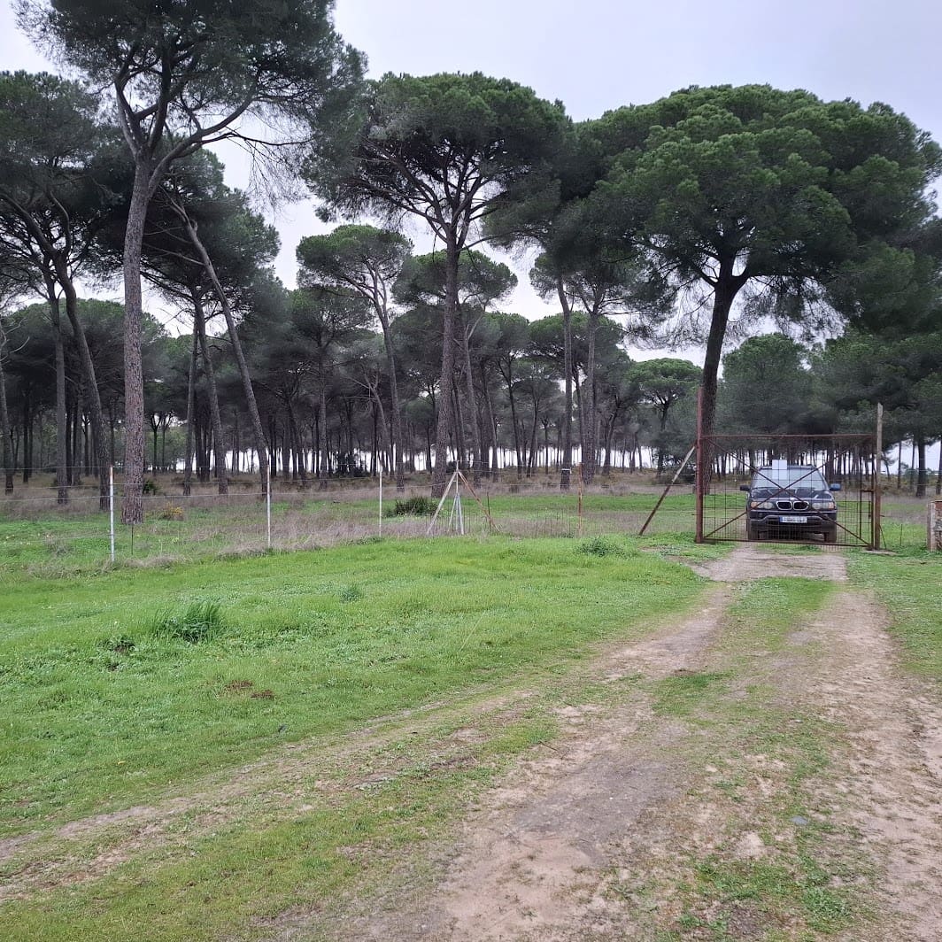 2 quarto Quinta/Casa Rural para venda em Almonte com garagem - 65 000 € (Ref: 9763520)