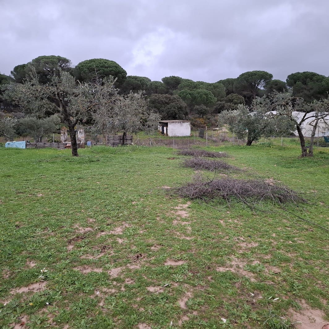 2 quarto Quinta/Casa Rural para venda em Almonte com garagem - 65 000 € (Ref: 9763520)