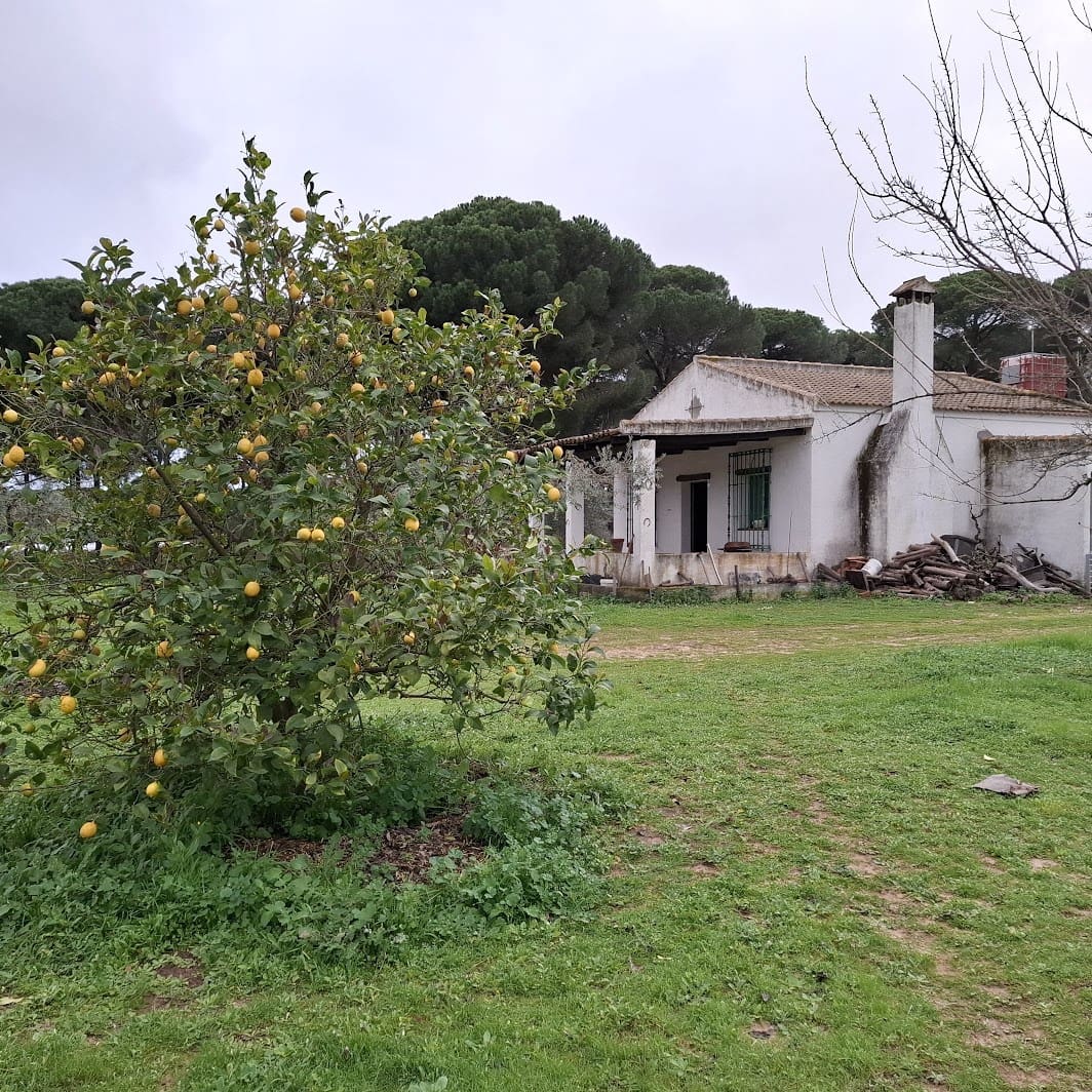 2 quarto Quinta/Casa Rural para venda em Almonte com garagem - 65 000 € (Ref: 9763520)
