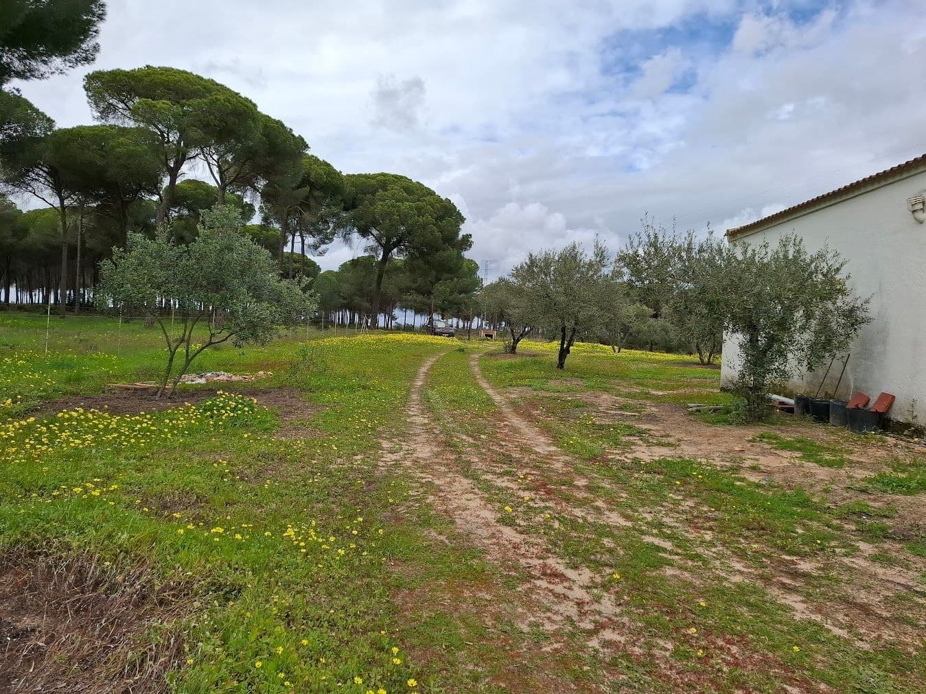 2 quarto Quinta/Casa Rural para venda em Almonte com garagem - 65 000 € (Ref: 9763520)