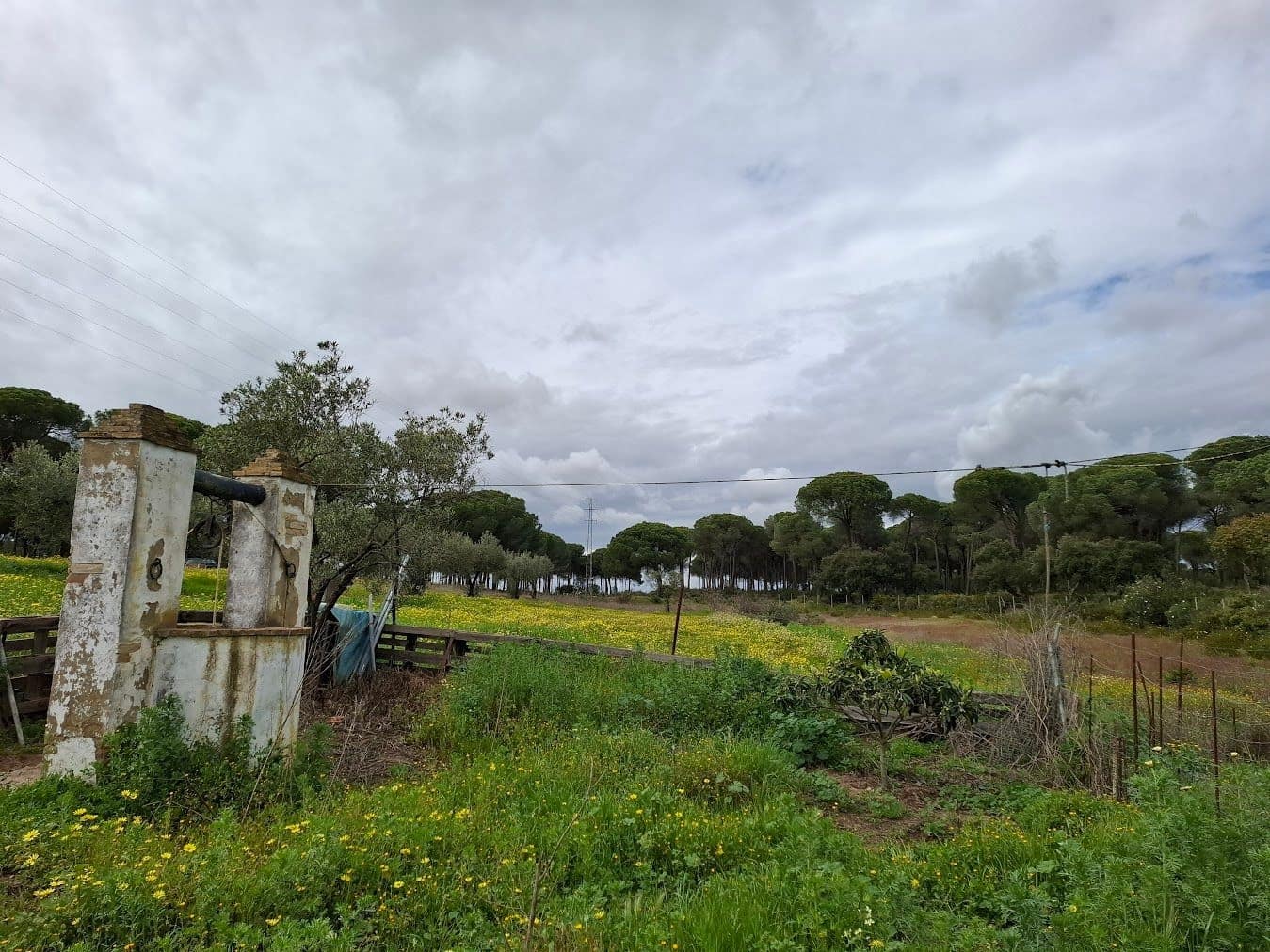 2 quarto Quinta/Casa Rural para venda em Almonte com garagem - 65 000 € (Ref: 9763520)