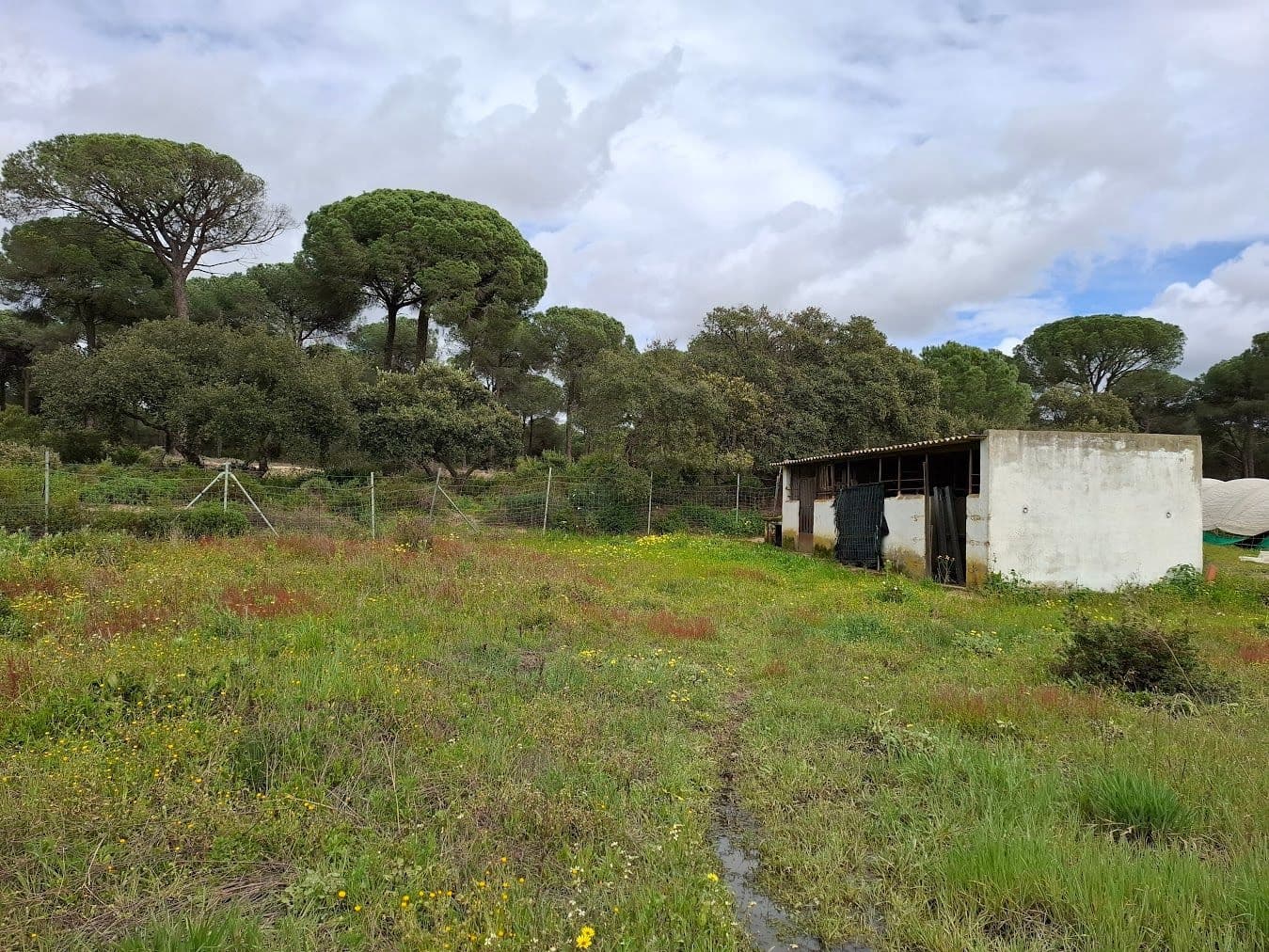 2 quarto Quinta/Casa Rural para venda em Almonte com garagem - 65 000 € (Ref: 9763520)