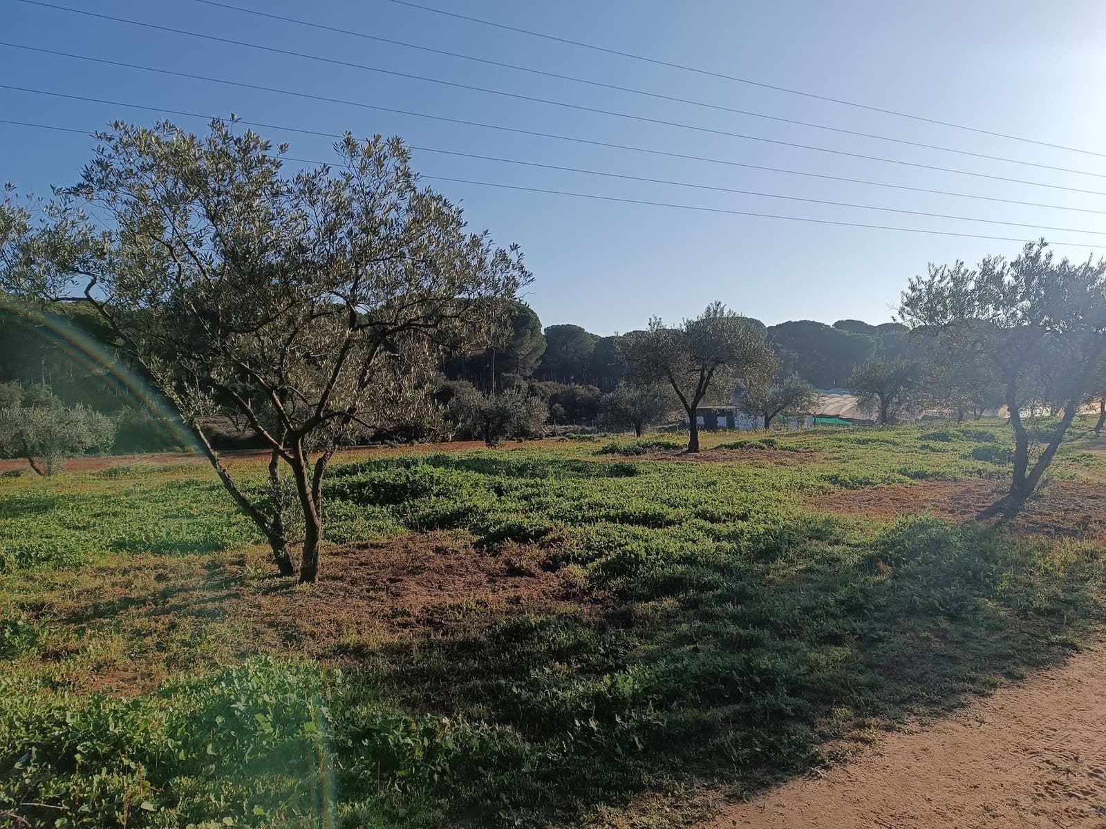 2 quarto Quinta/Casa Rural para venda em Almonte com garagem - 65 000 € (Ref: 9763520)