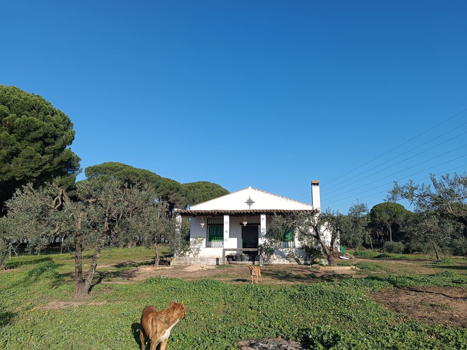 2 quarto Quinta/Casa Rural para venda em Almonte com garagem - 65 000 € (Ref: 9763520)