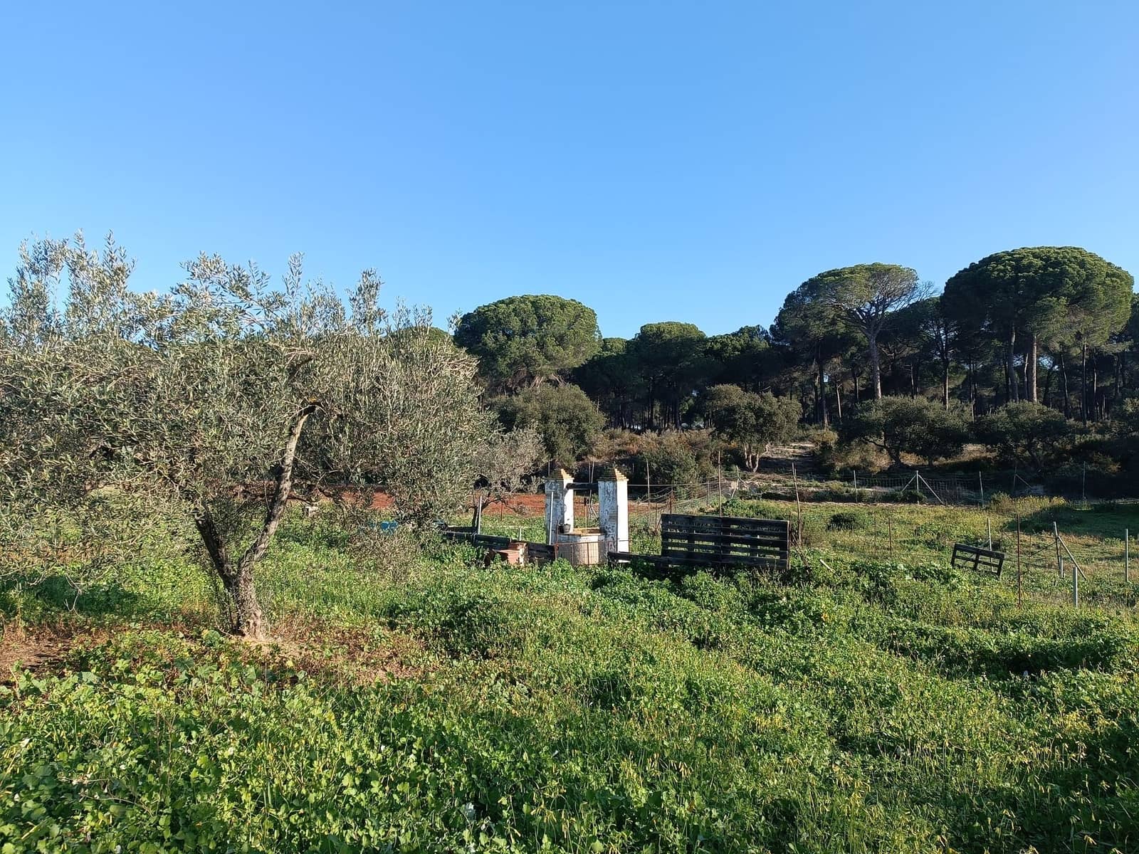 2 quarto Quinta/Casa Rural para venda em Almonte com garagem - 65 000 € (Ref: 9763520)