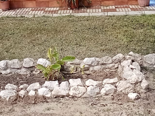 4 sovrum Finca/Hus på landet till salu i Almonte med pool garage - 92 000 € (Ref: 9772643)