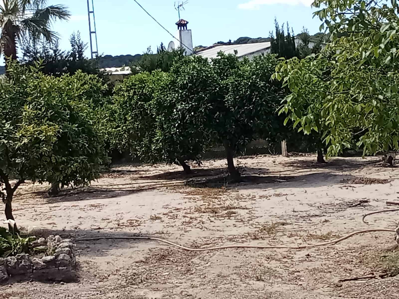 4 sovrum Finca/Hus på landet till salu i Almonte med pool garage - 92 000 € (Ref: 9772643)