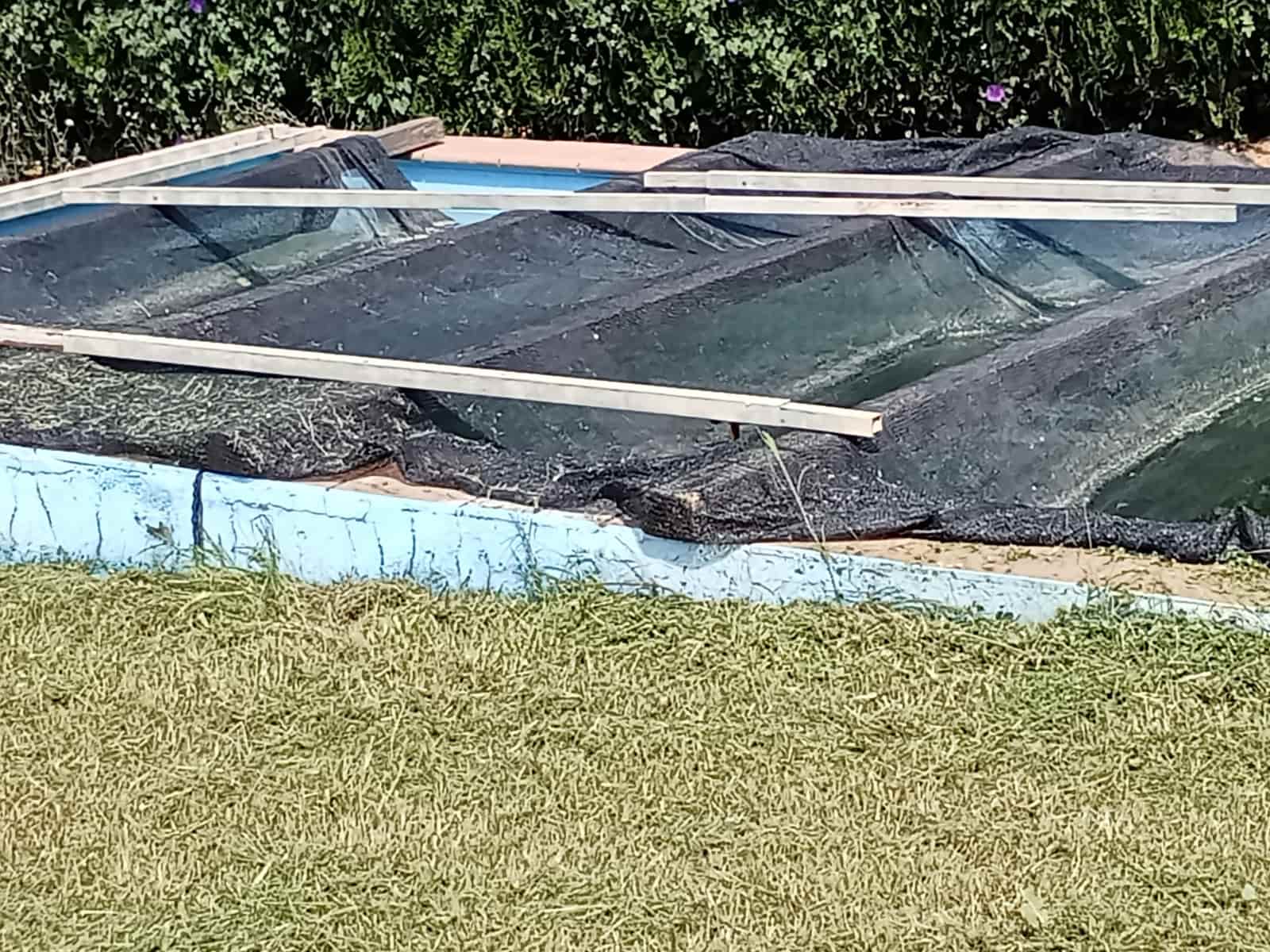 4 sovrum Finca/Hus på landet till salu i Almonte med pool garage - 92 000 € (Ref: 9772643)