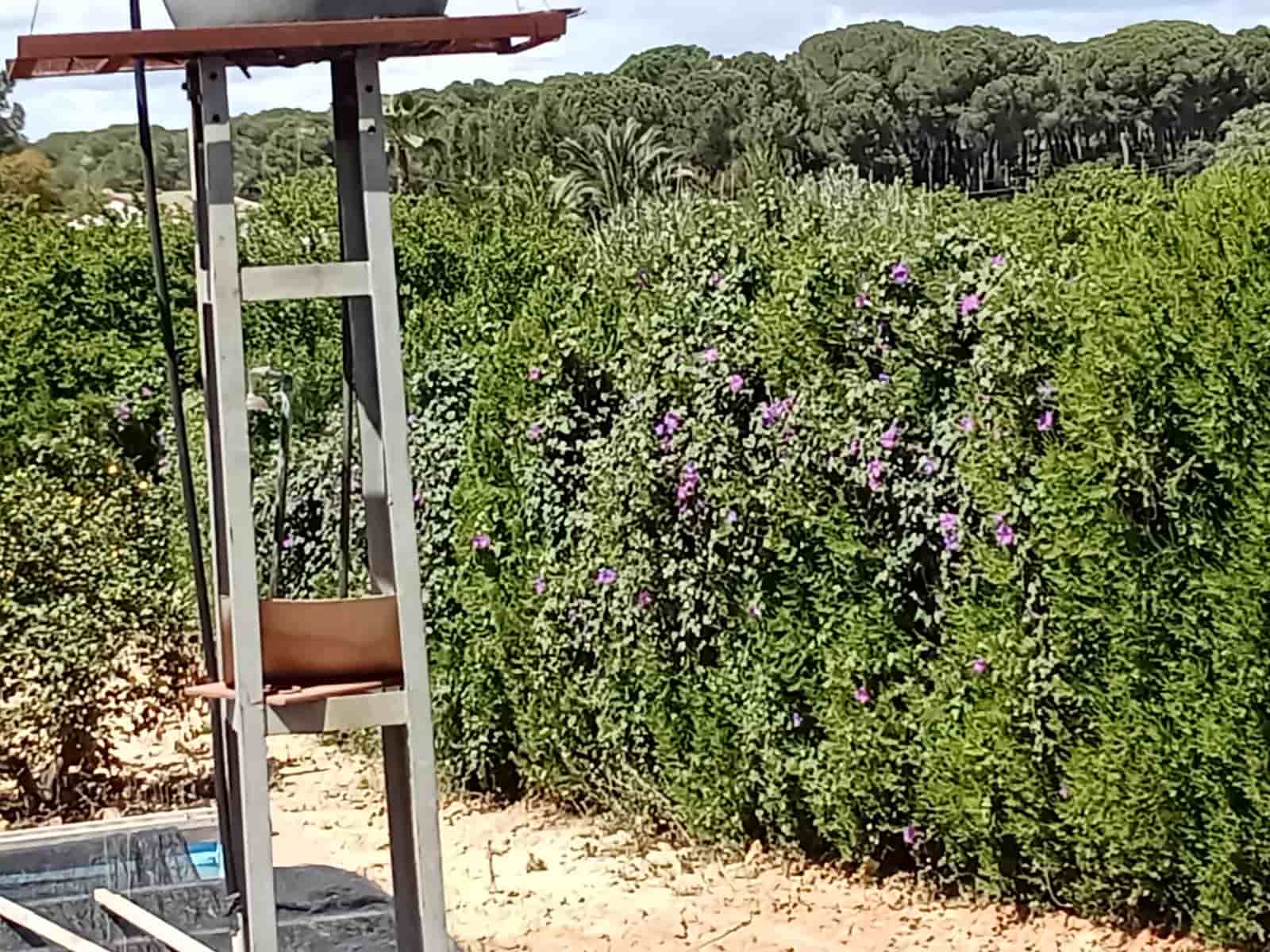 4 sovrum Finca/Hus på landet till salu i Almonte med pool garage - 92 000 € (Ref: 9772643)