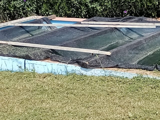 4 sovrum Finca/Hus på landet till salu i Almonte med pool garage - 92 000 € (Ref: 9772643)