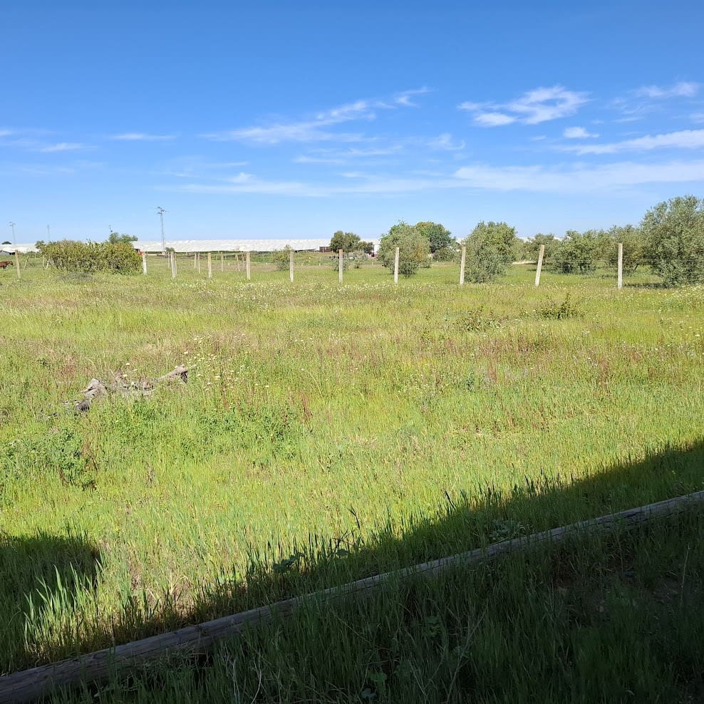 2 makuuhuone Maalaistalo myytävänä paikassa Almonte mukana 
autotalli - 95 000 € (Ref: 9783083)