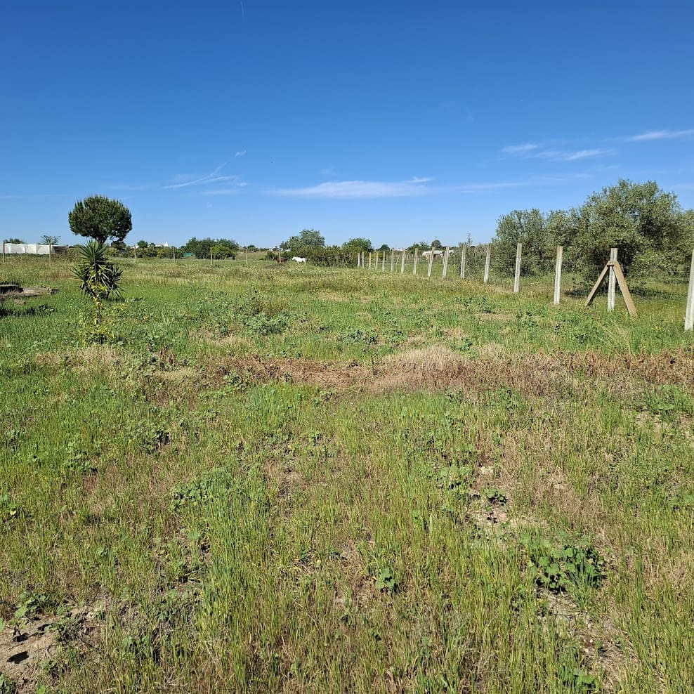 2 makuuhuone Maalaistalo myytävänä paikassa Almonte mukana 
autotalli - 95 000 € (Ref: 9783083)