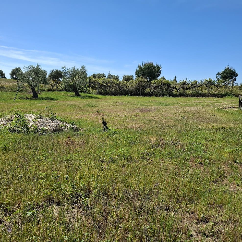 2 makuuhuone Maalaistalo myytävänä paikassa Almonte mukana 
autotalli - 95 000 € (Ref: 9783083)