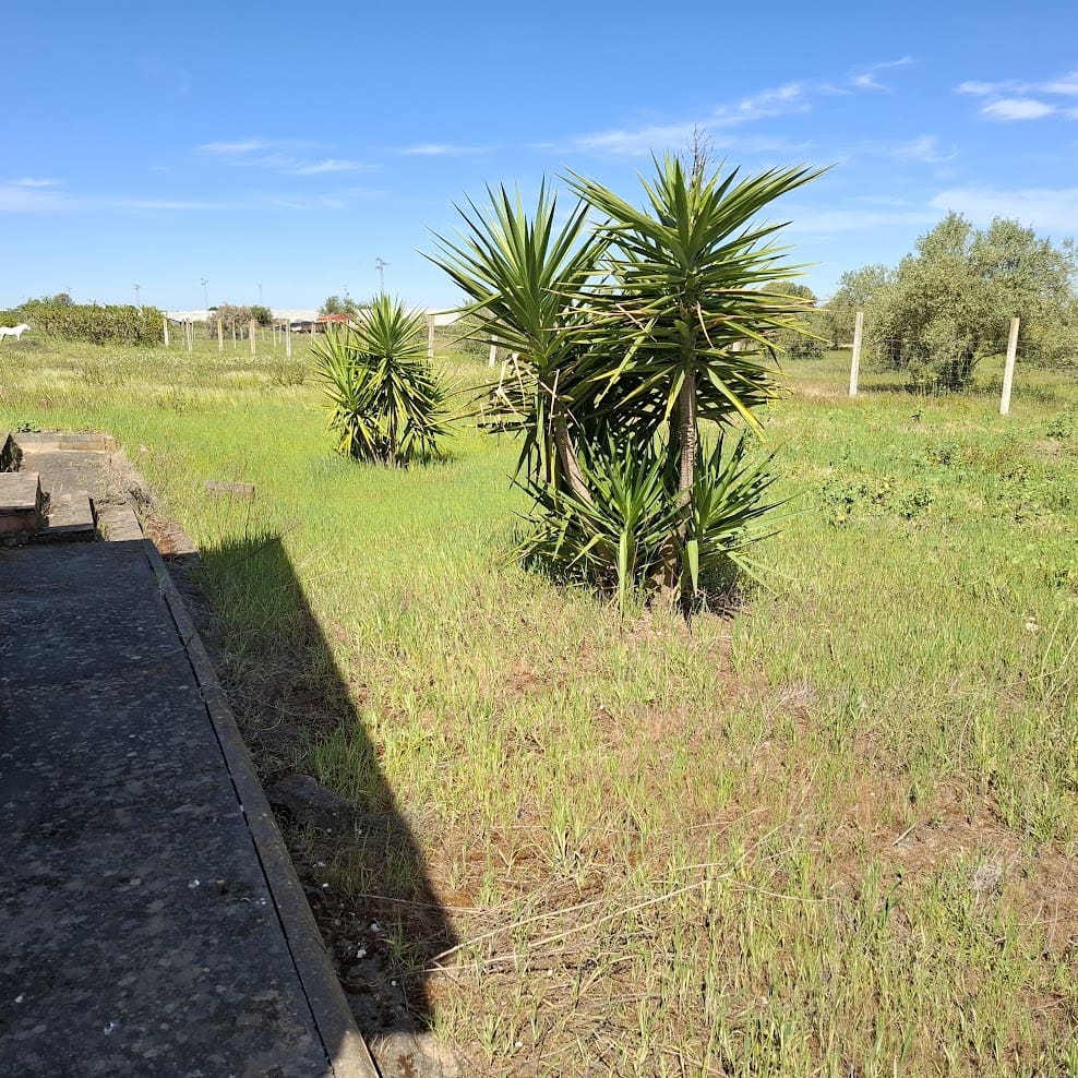 2 makuuhuone Maalaistalo myytävänä paikassa Almonte mukana 
autotalli - 95 000 € (Ref: 9783083)