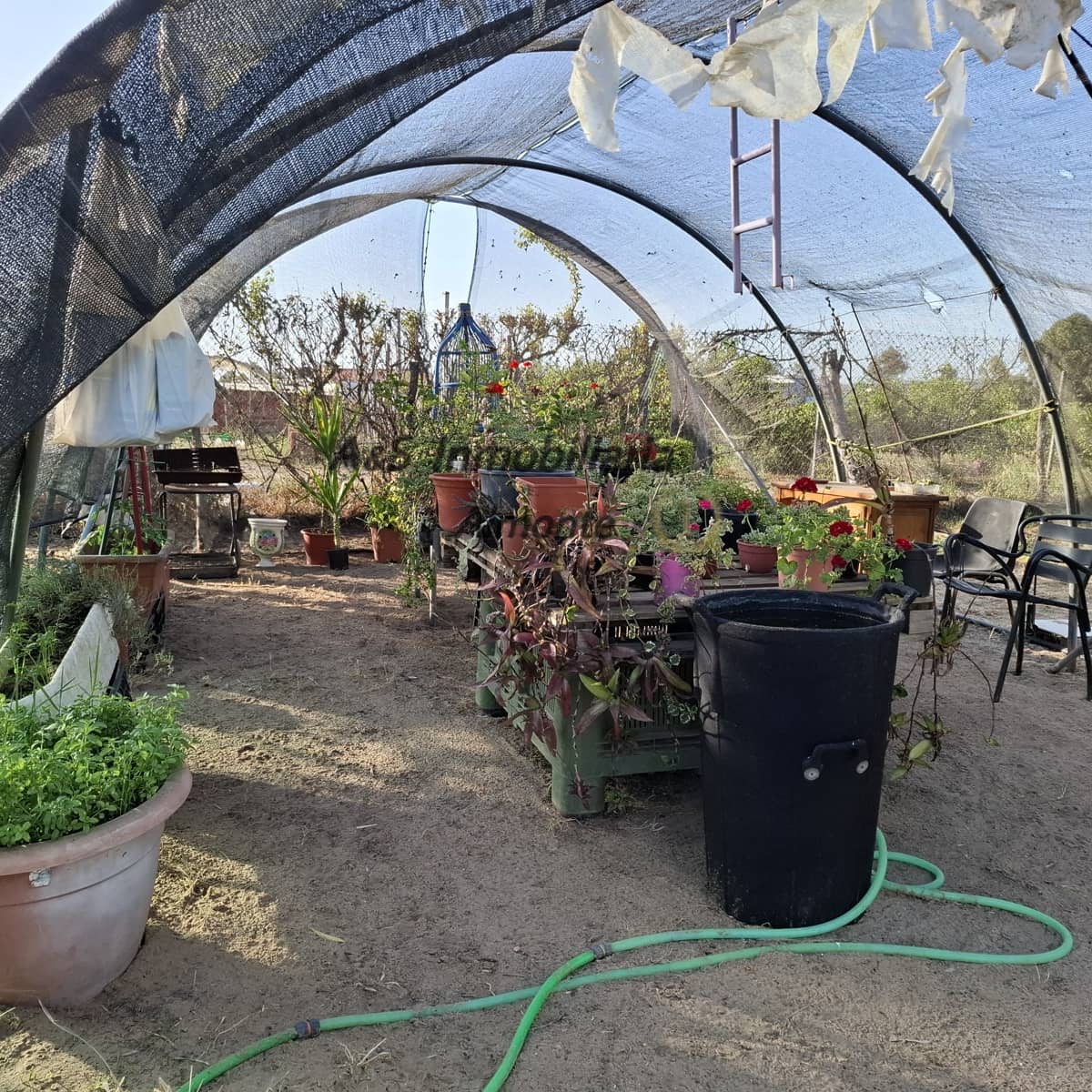 Finca/Casa Rural de 4 habitaciones en Almonte en venta con piscina garaje - 155.000 € (Ref: 9800616)