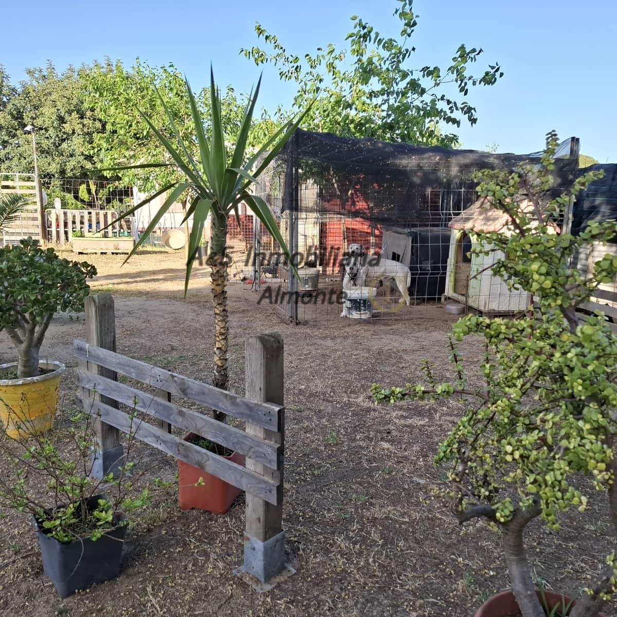 Finca/Casa Rural de 4 habitaciones en Almonte en venta con piscina garaje - 155.000 € (Ref: 9800616)