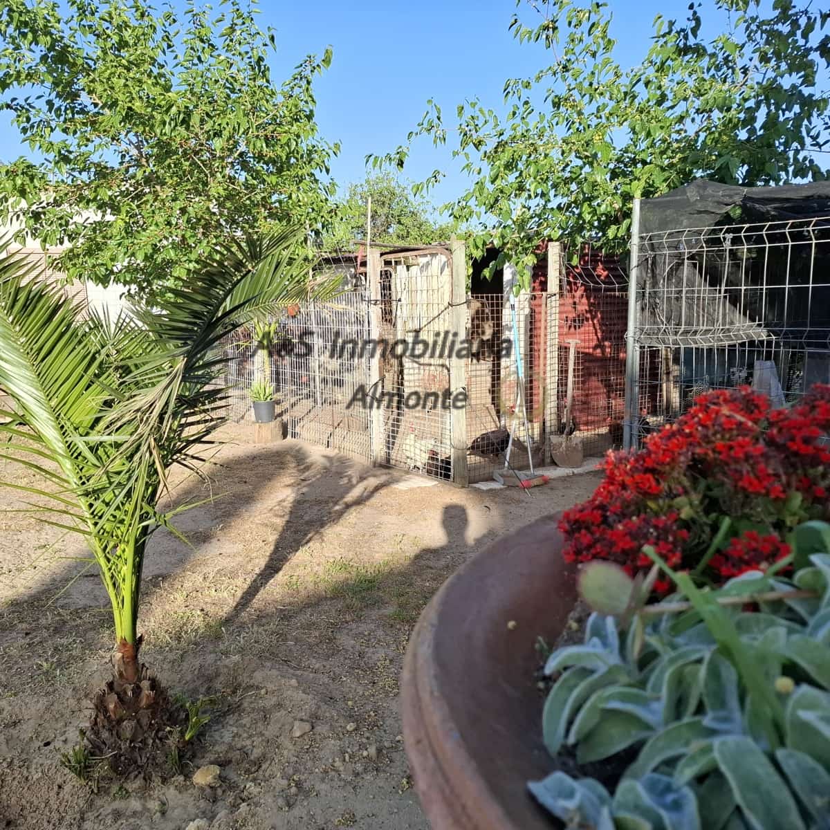 Finca/Casa Rural de 4 habitaciones en Almonte en venta con piscina garaje - 155.000 € (Ref: 9800616)