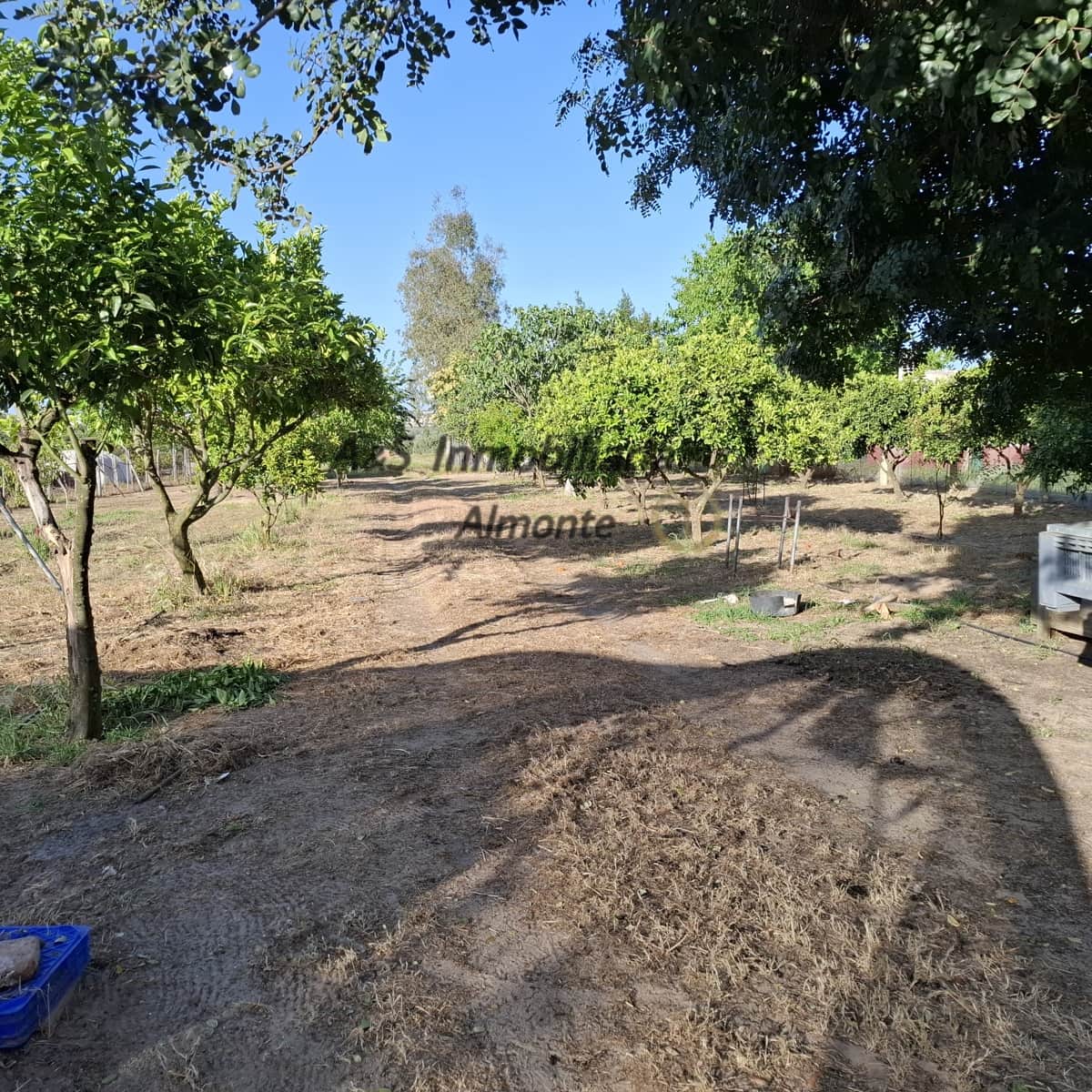 Finca/Casa Rural de 4 habitaciones en Almonte en venta con piscina garaje - 155.000 € (Ref: 9800616)