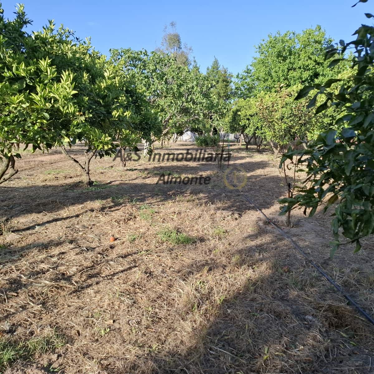 Finca/Casa Rural de 4 habitaciones en Almonte en venta con piscina garaje - 155.000 € (Ref: 9800616)