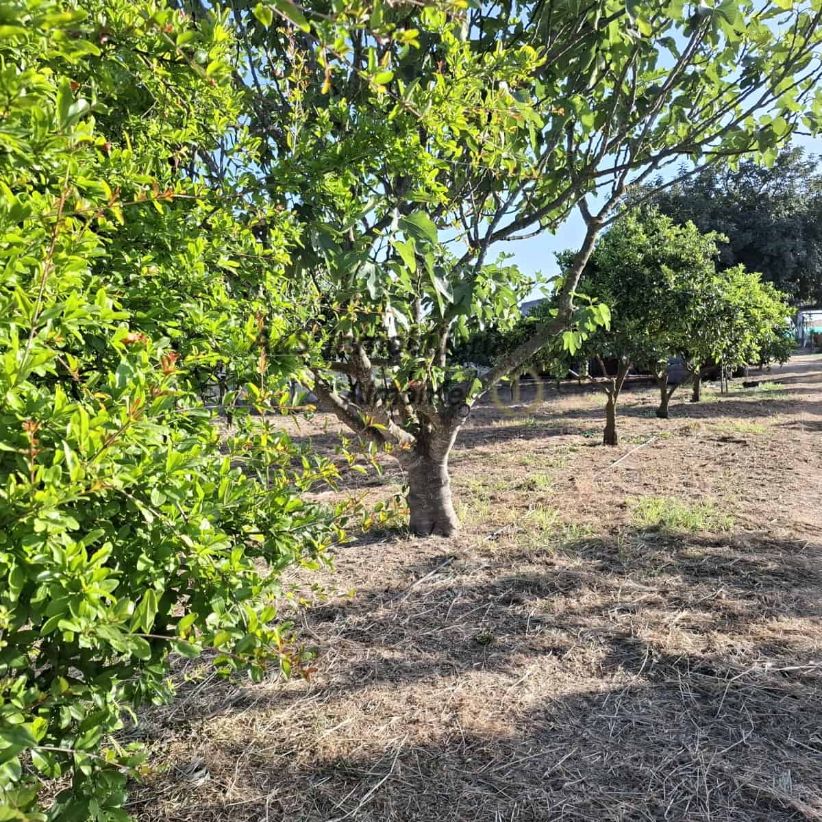 Finca/Casa Rural de 4 habitaciones en Almonte en venta con piscina garaje - 155.000 € (Ref: 9800616)