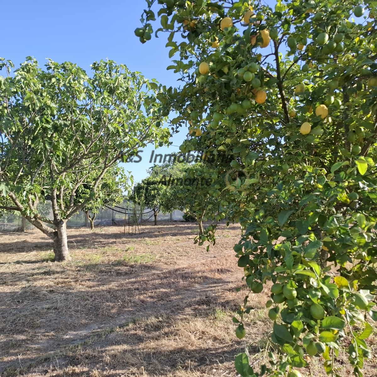 Finca/Casa Rural de 4 habitaciones en Almonte en venta con piscina garaje - 155.000 € (Ref: 9800616)