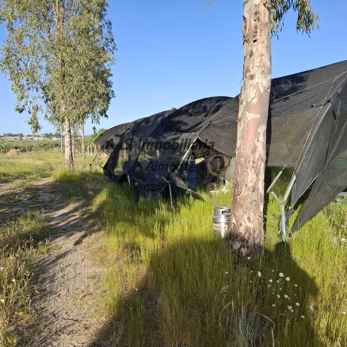 Finca/Casa Rural de 4 habitaciones en Almonte en venta con piscina garaje - 155.000 € (Ref: 9800616)