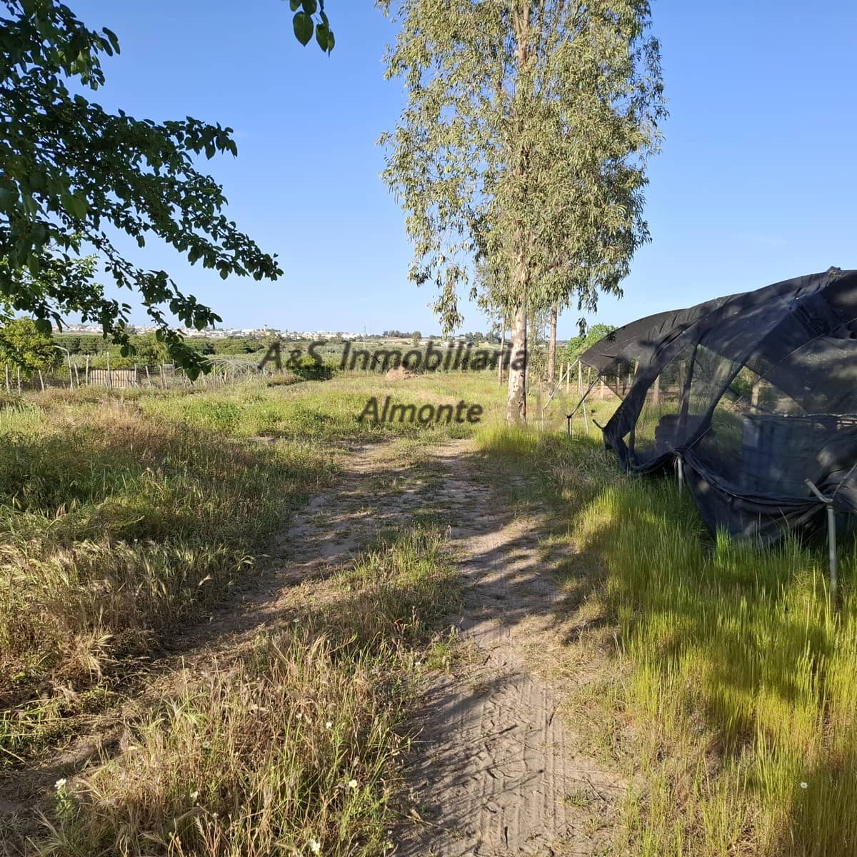 Finca/Casa Rural de 4 habitaciones en Almonte en venta con piscina garaje - 155.000 € (Ref: 9800616)