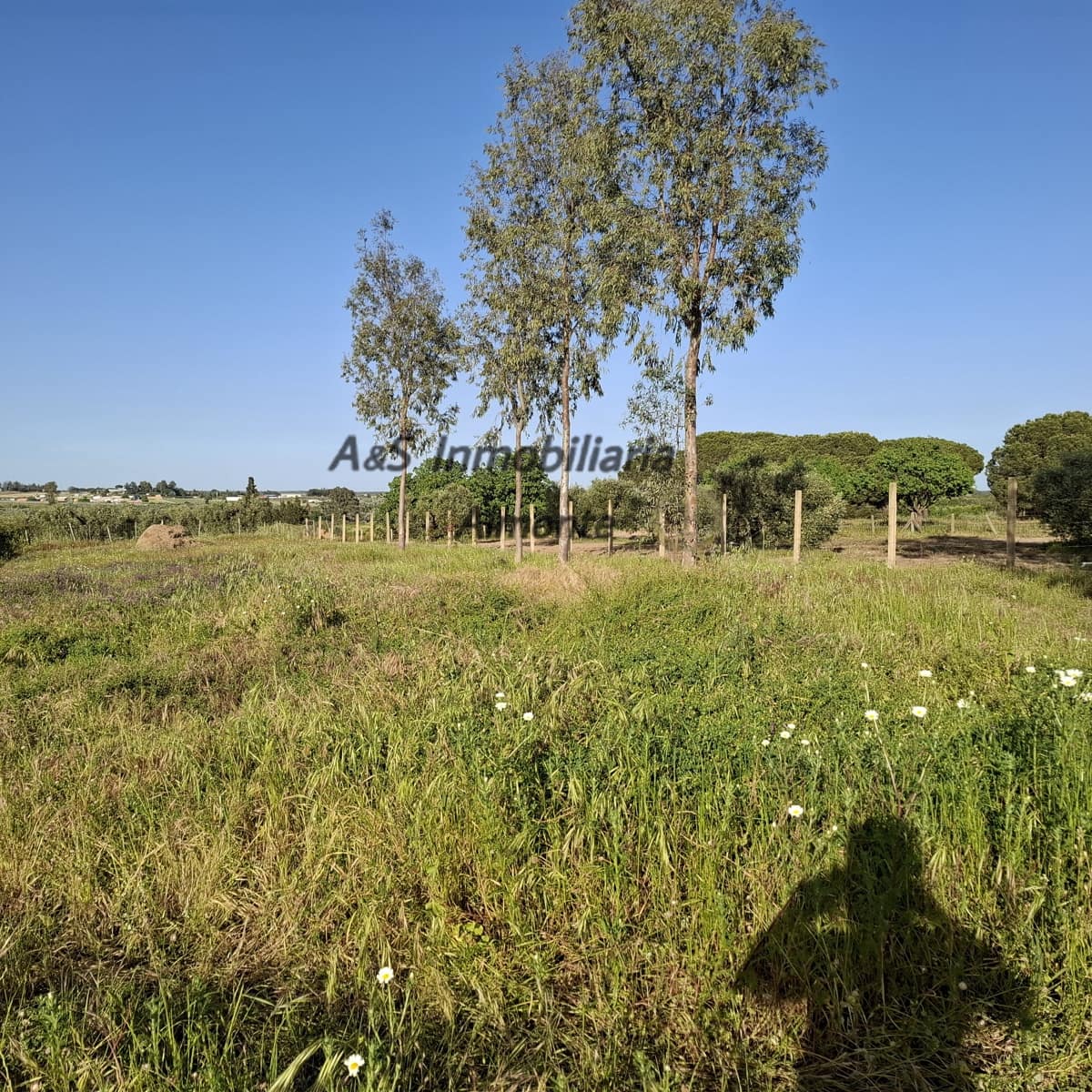 Finca/Casa Rural de 4 habitaciones en Almonte en venta con piscina garaje - 155.000 € (Ref: 9800616)